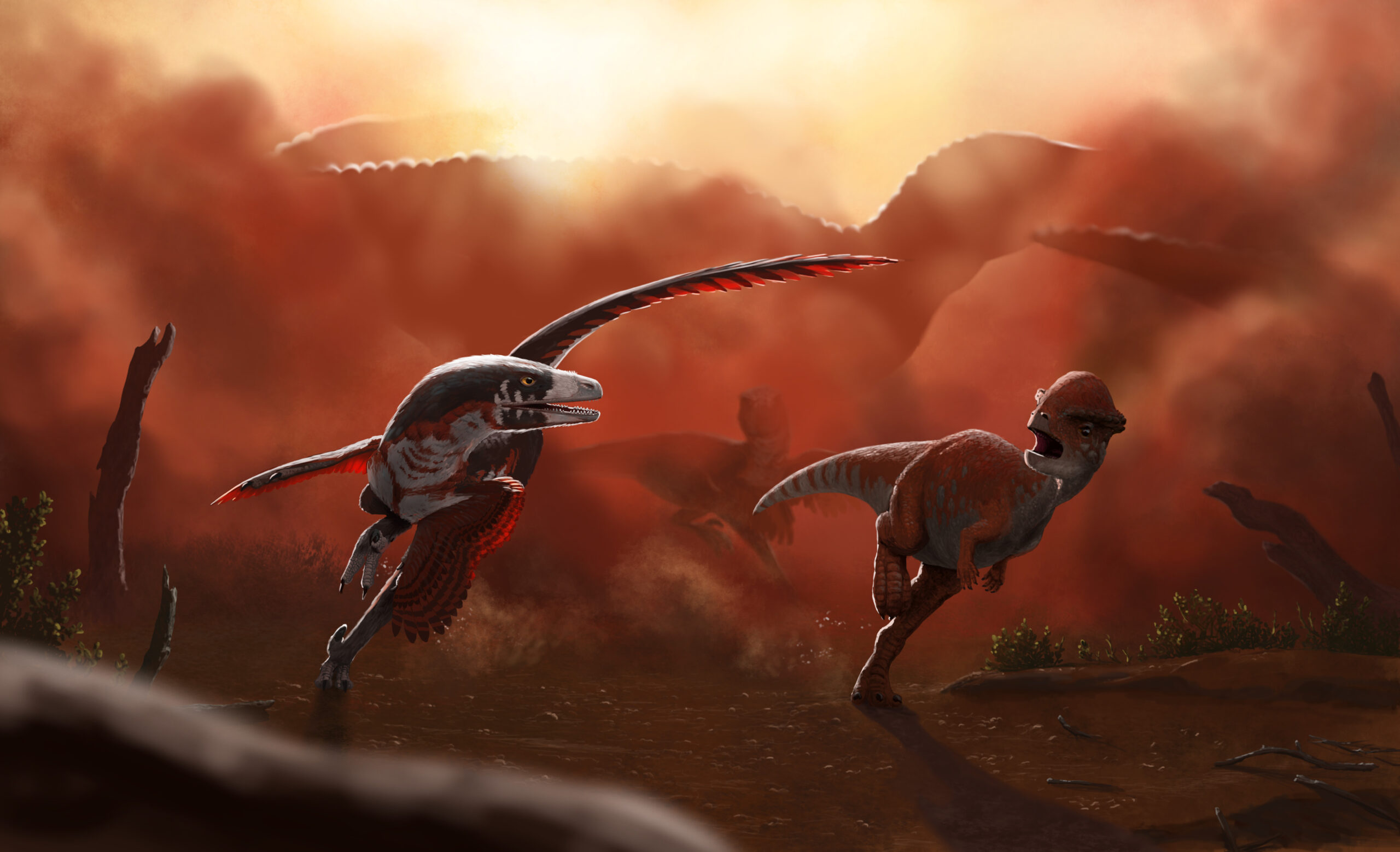 Paleoart Saurornitholestes chasing Stegoceras by Peter Nickolaus