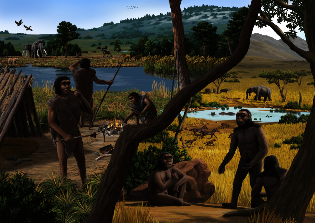 One of the research fields of the Biogeology working group of the Tübingen Unversity: Early hominins' ecology and ecosystems.