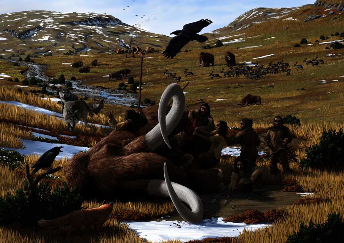 One of the research fields of the Biogeology working group of the Tübingen Unversity: Late Quaternary hominins' ecology.