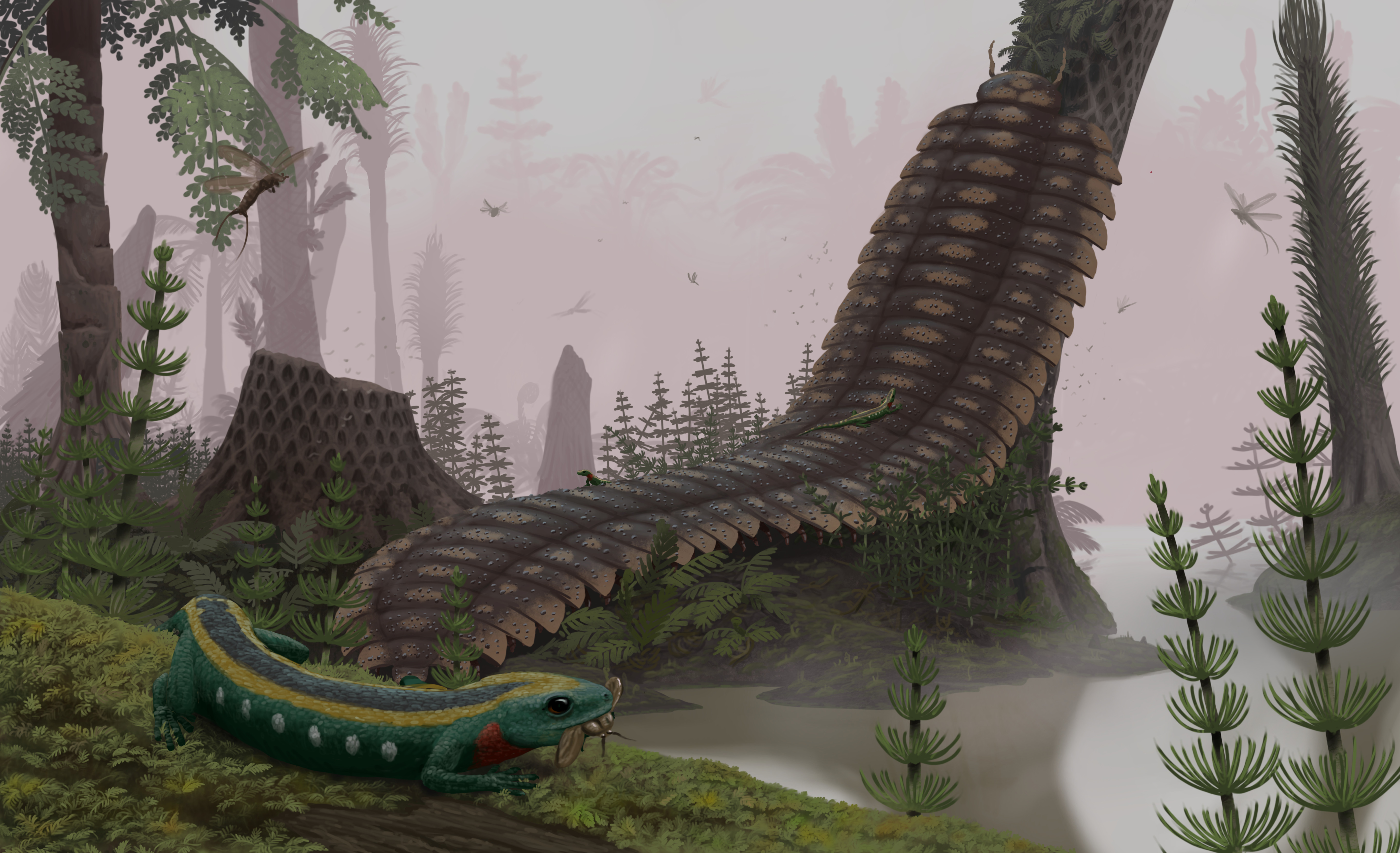 In the misty swamps, the massive millipede Arthropleura is in search of the most delicious plants. Paleoart by Peter Nickolaus.