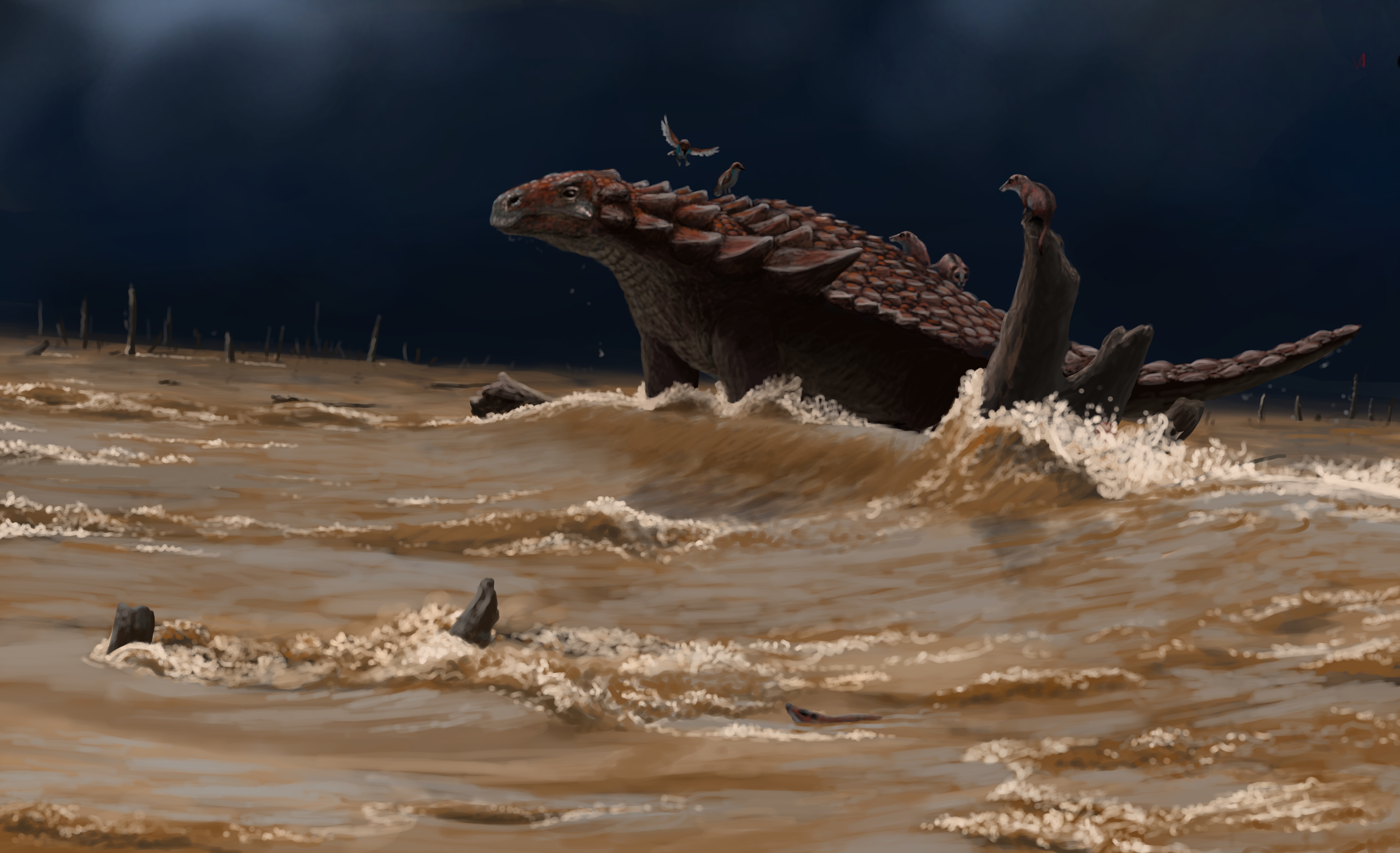 A Borealopelta withstands the forces of a flood and becomes a safe haven for smaller critter - but for how long? Paleoart by Peter Nickolaus.