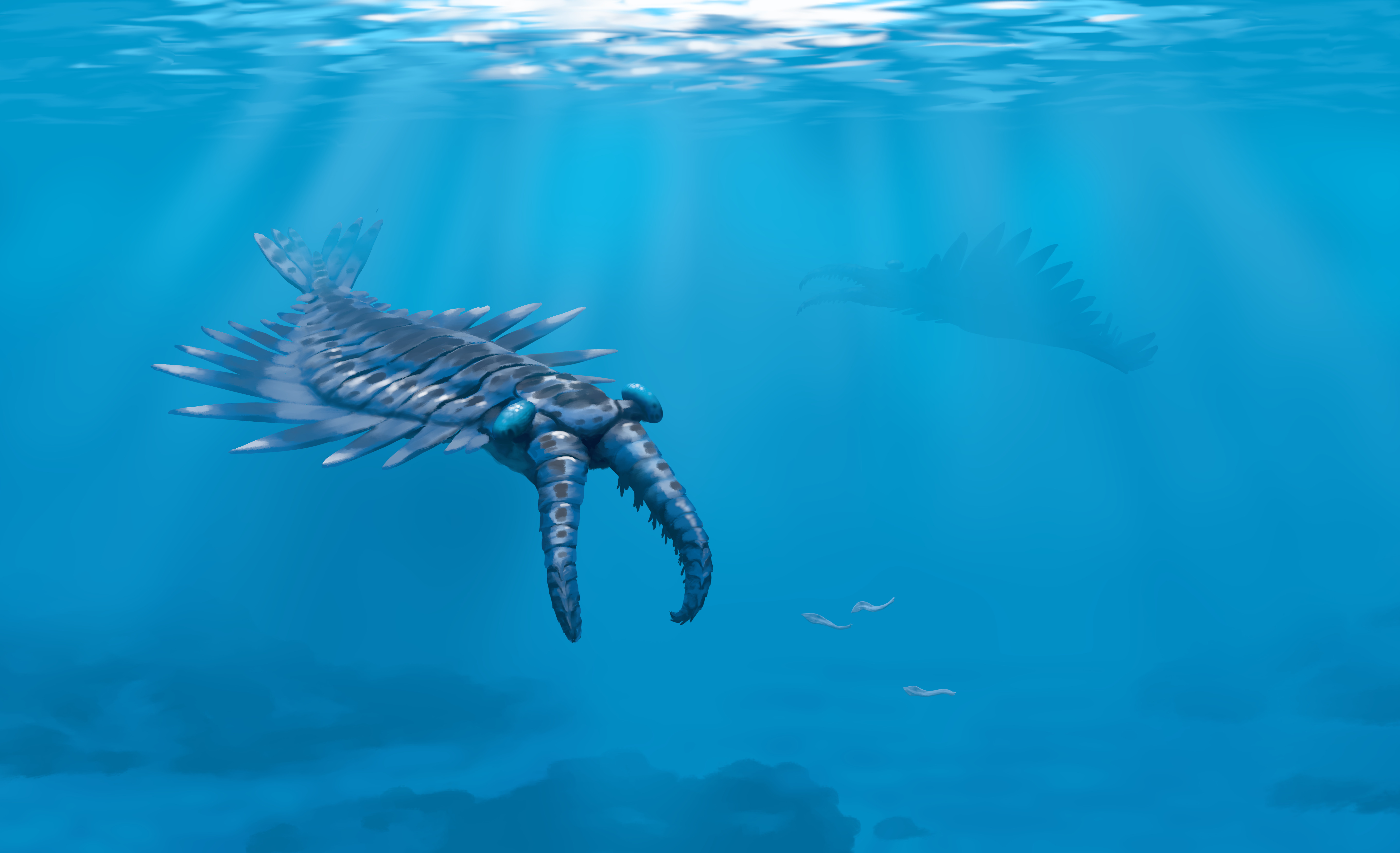 An Anomalocaris hunts some Pikaia. Paleoart by Peter Nickolaus.