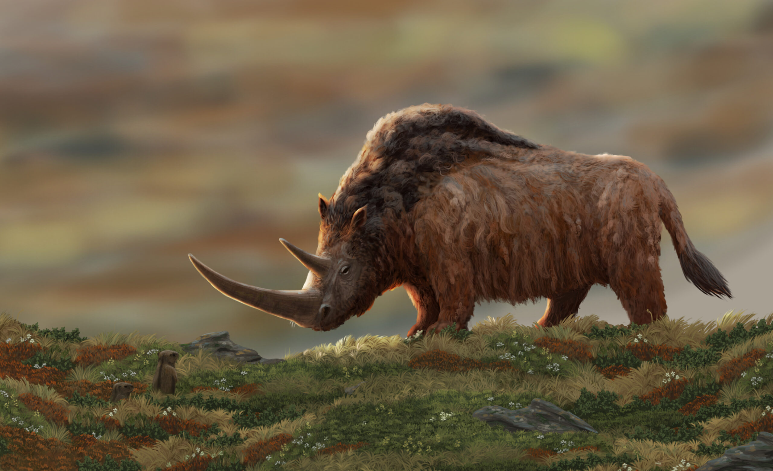 Strolling through the steppe, a woolly rhinoceros encounters two marmots. Paleoart by Peter Nickolaus.