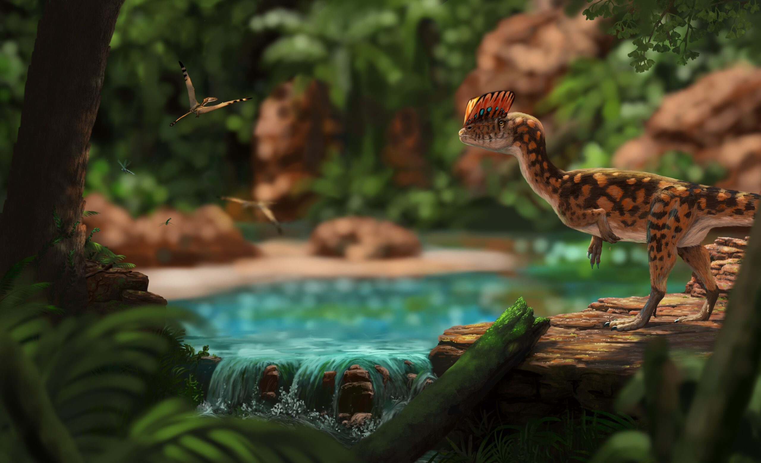 A Dilophosaurus roams through its territory. Paleoart by Peter Nickolaus.