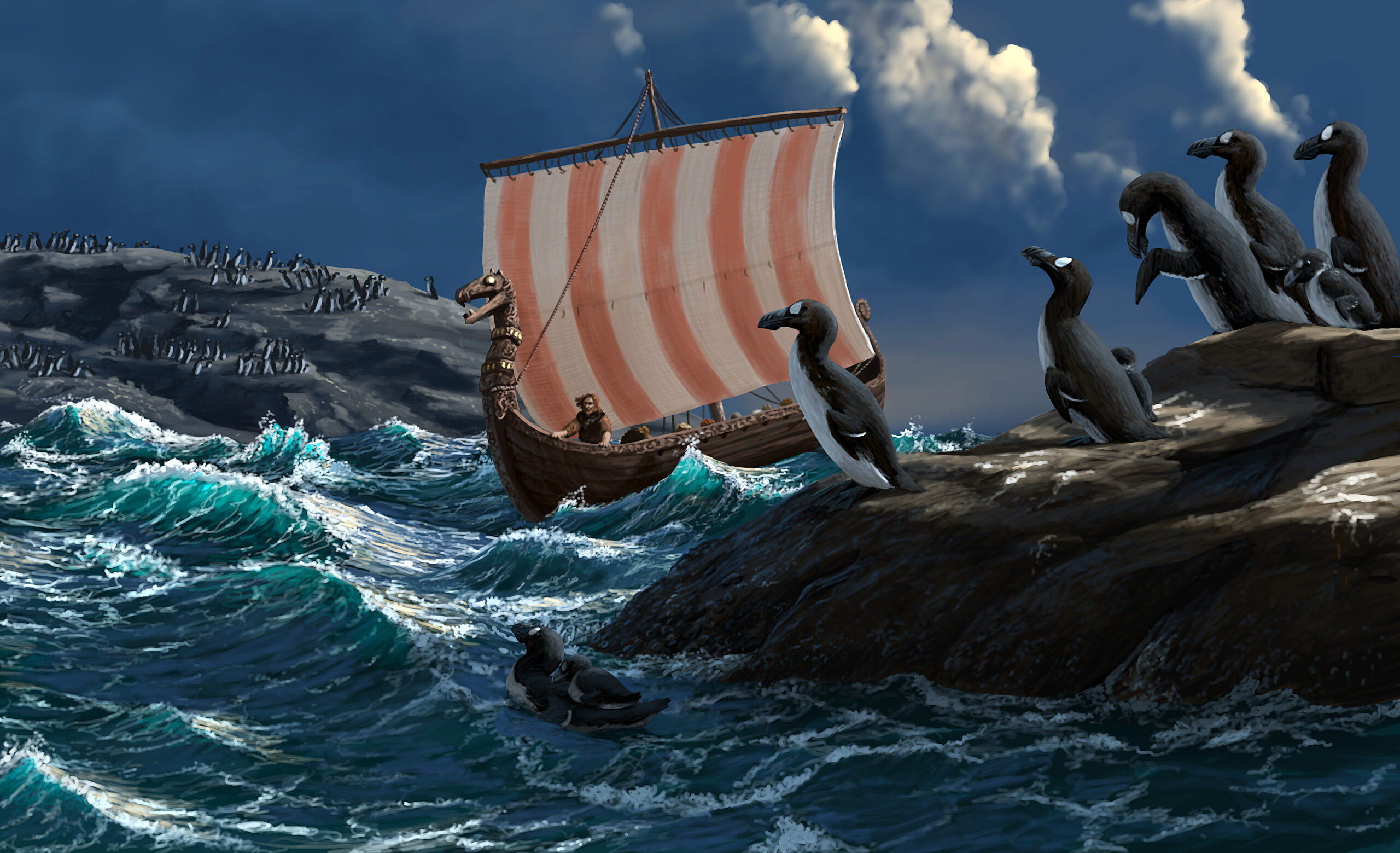 A viking longship sails past a Great Auk colony on a rocky shore. Paleoart by Peter Nickolaus.