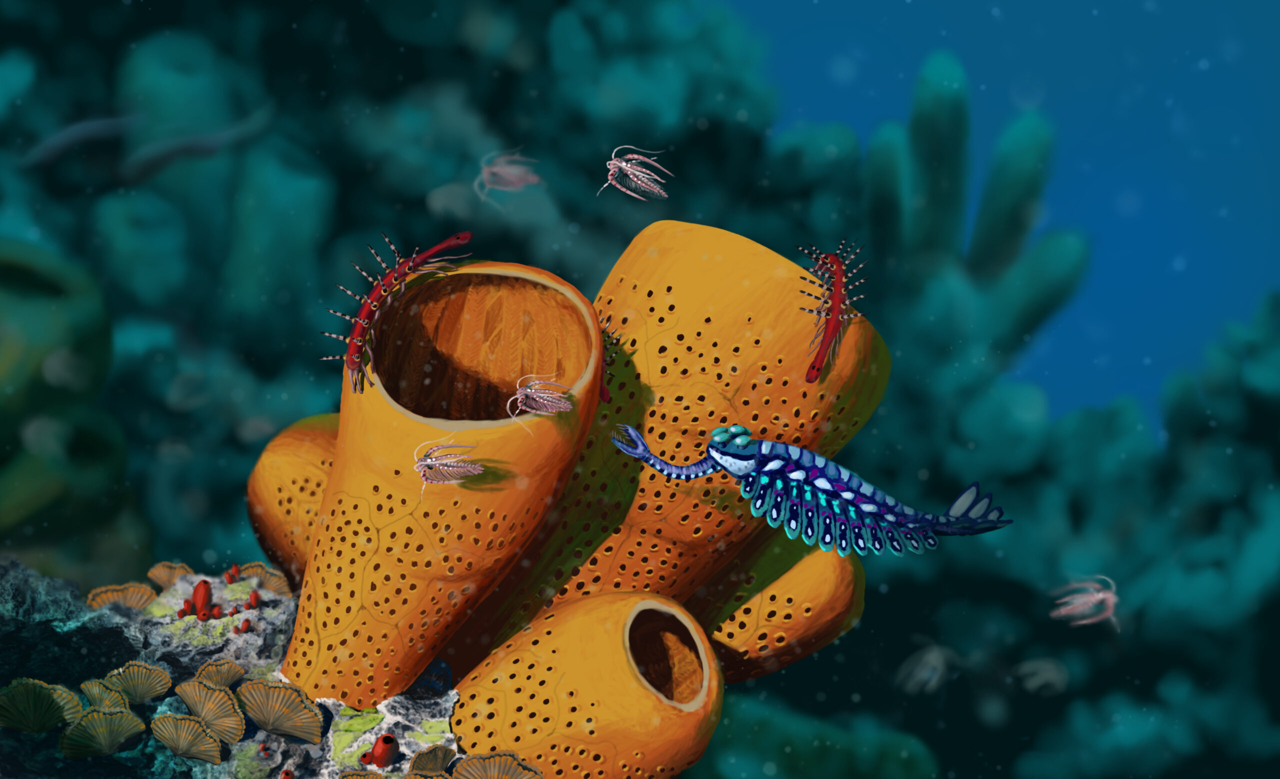 An Opabinia tries to catch some Marrella, while Hallucigenia explores the sponge maze. Paleoart by Peter Nickolaus.