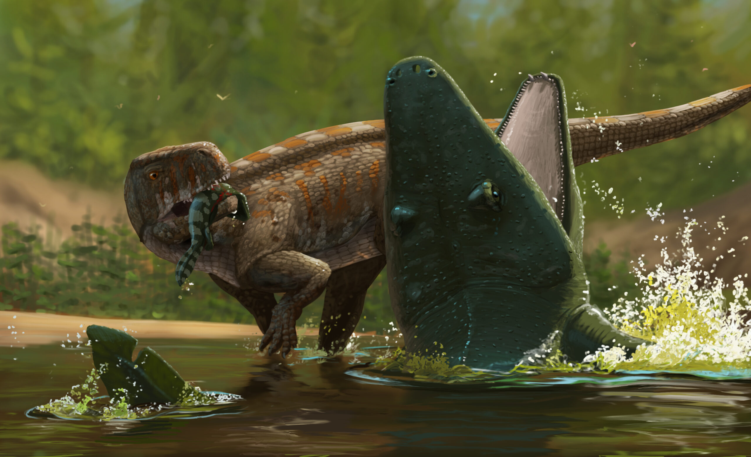 A Batrachotomus disturbs a giant Mastodonsaurus lurking in the water. Paleoart by Peter Nickolaus.