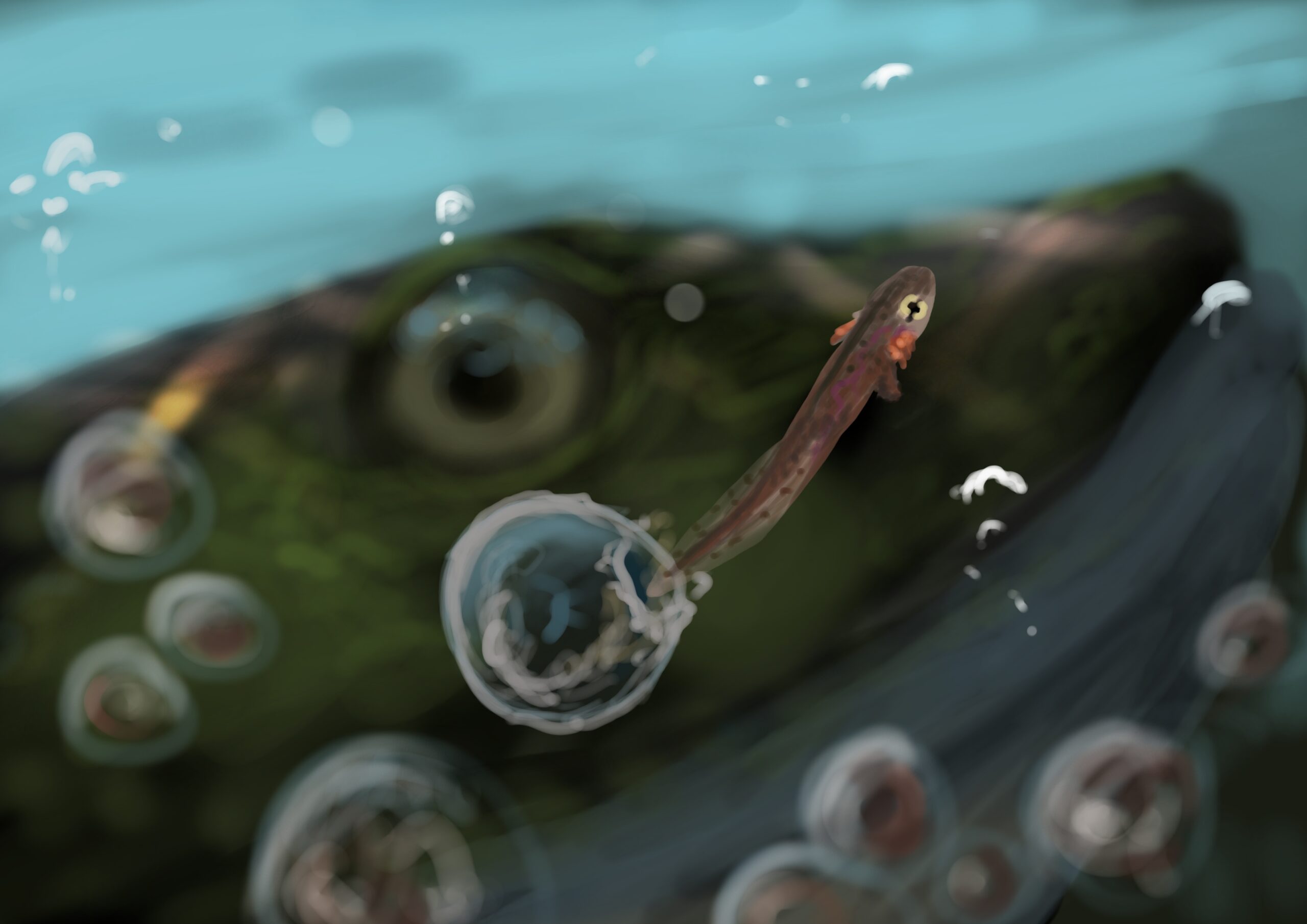 Acanthostega Paleostream Paleoart by Peter Nickolaus