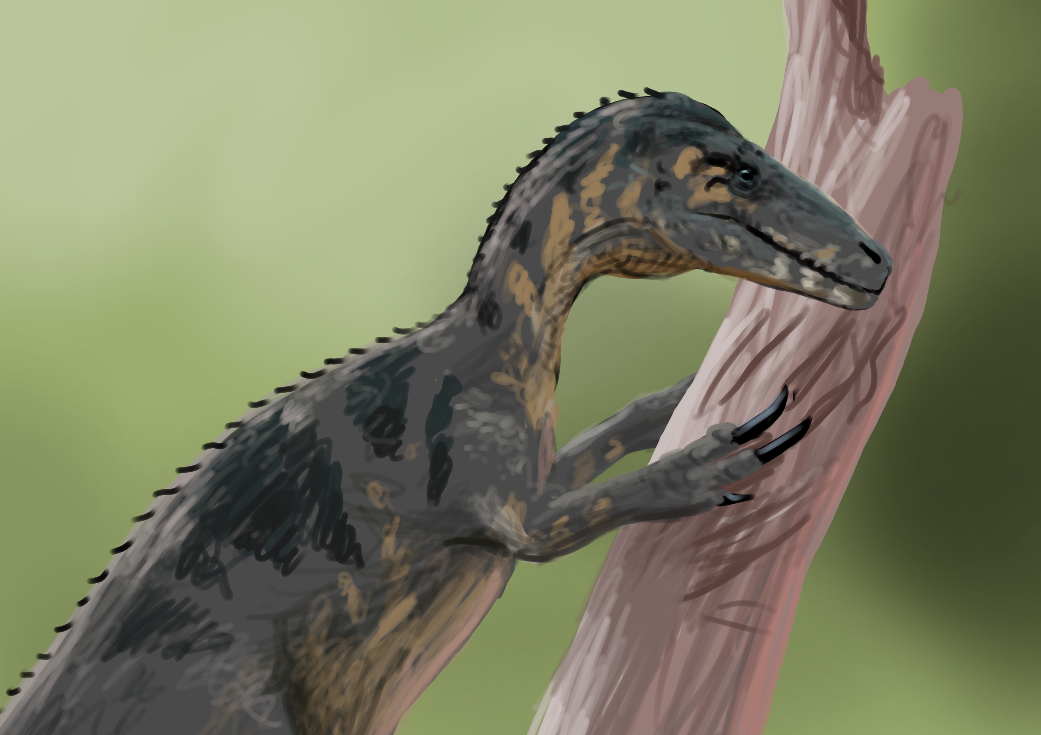 Aerosteon Paleostream Paleoart by Peter Nickolaus