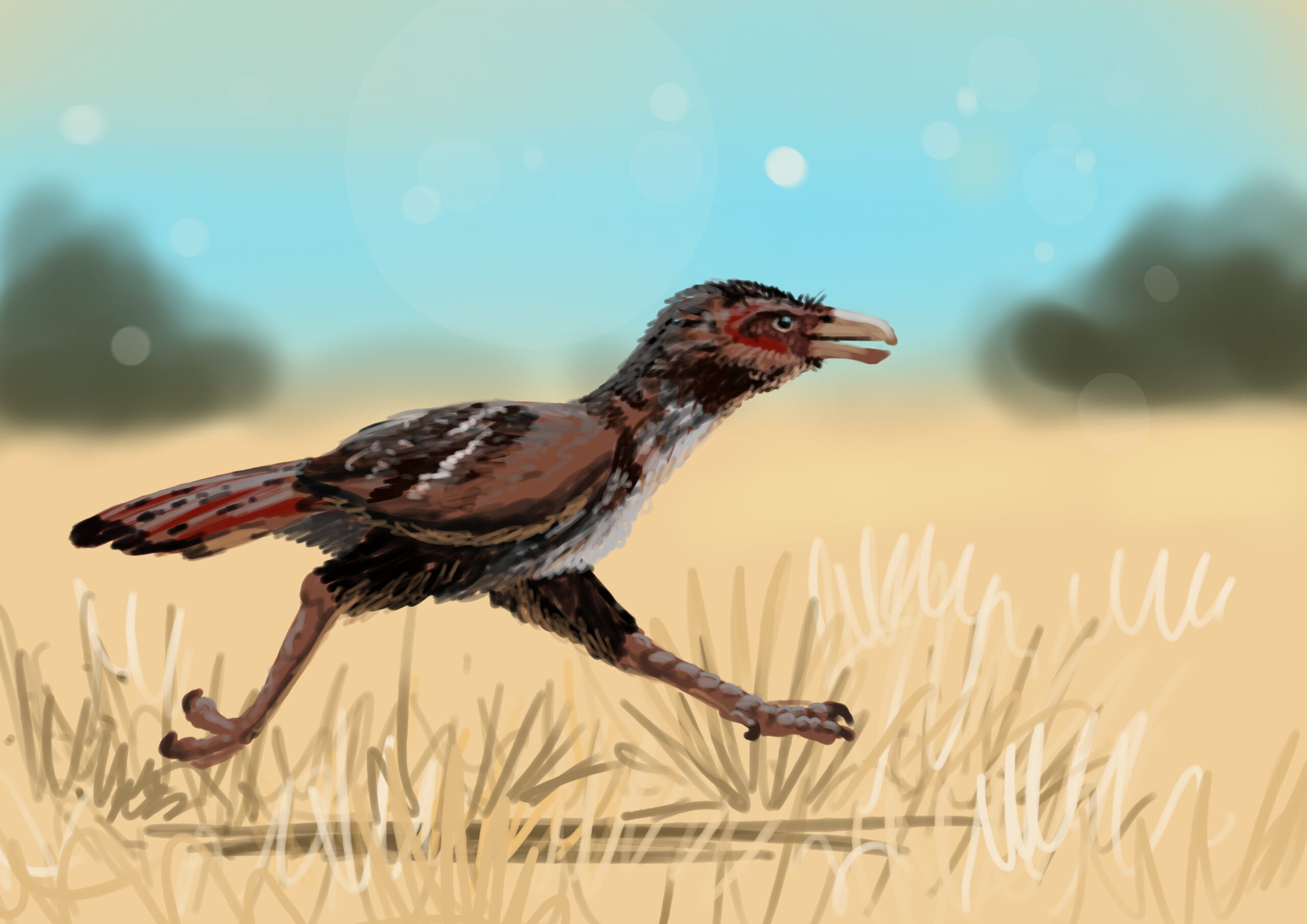 Bathornis Paleostream Paleoart by Peter Nickolaus