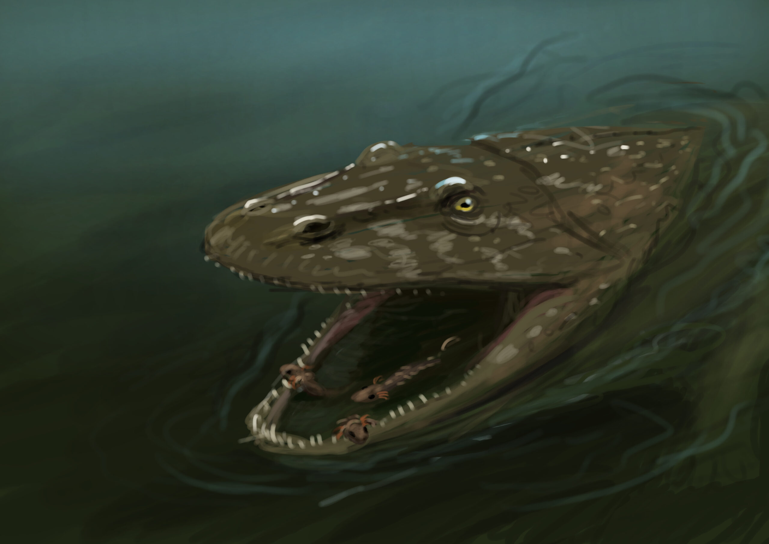 Eryops Paleostream Paleoart by Peter Nickolaus