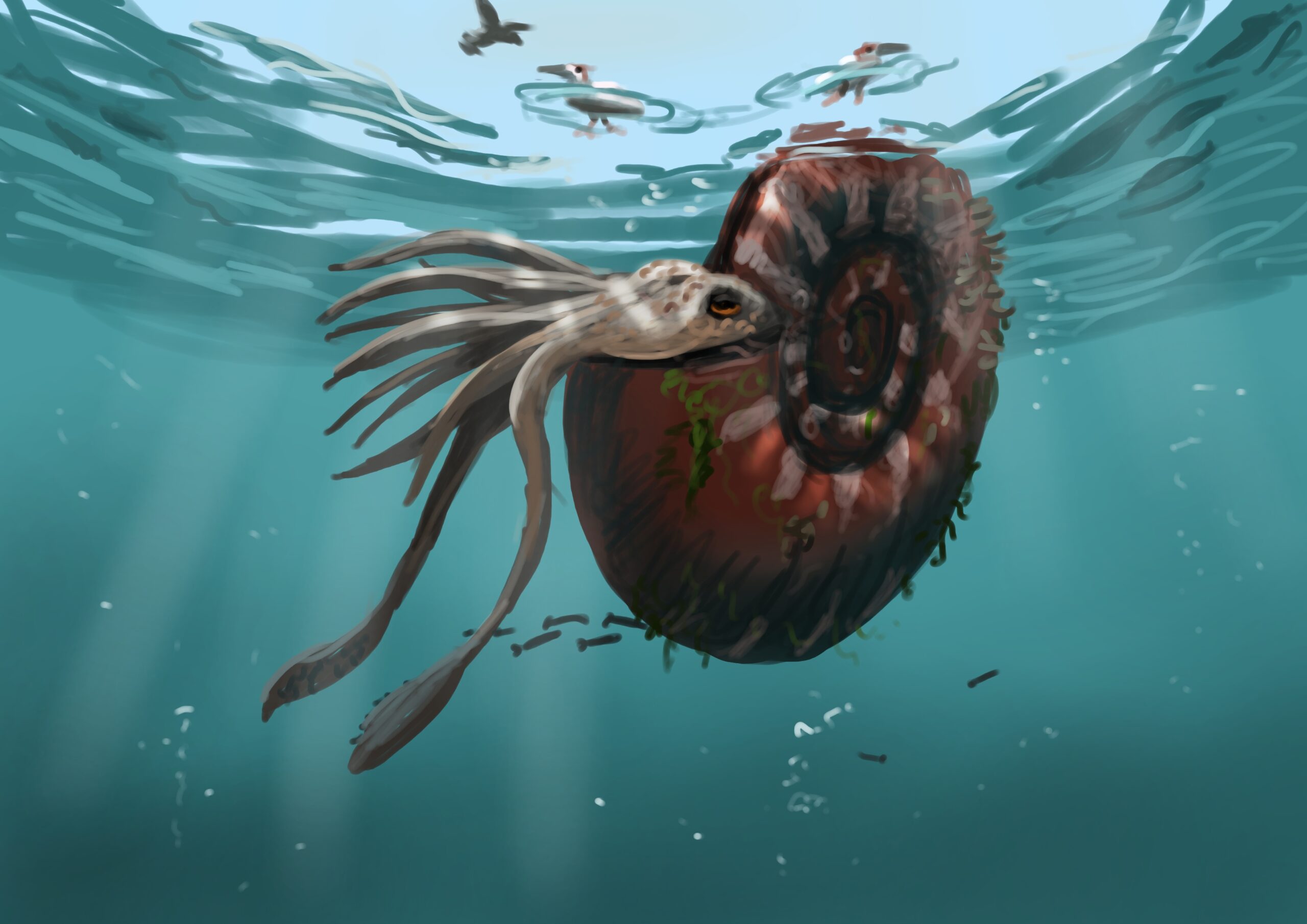 Parapuzosia Paleostream Paleoart by Peter Nickolaus
