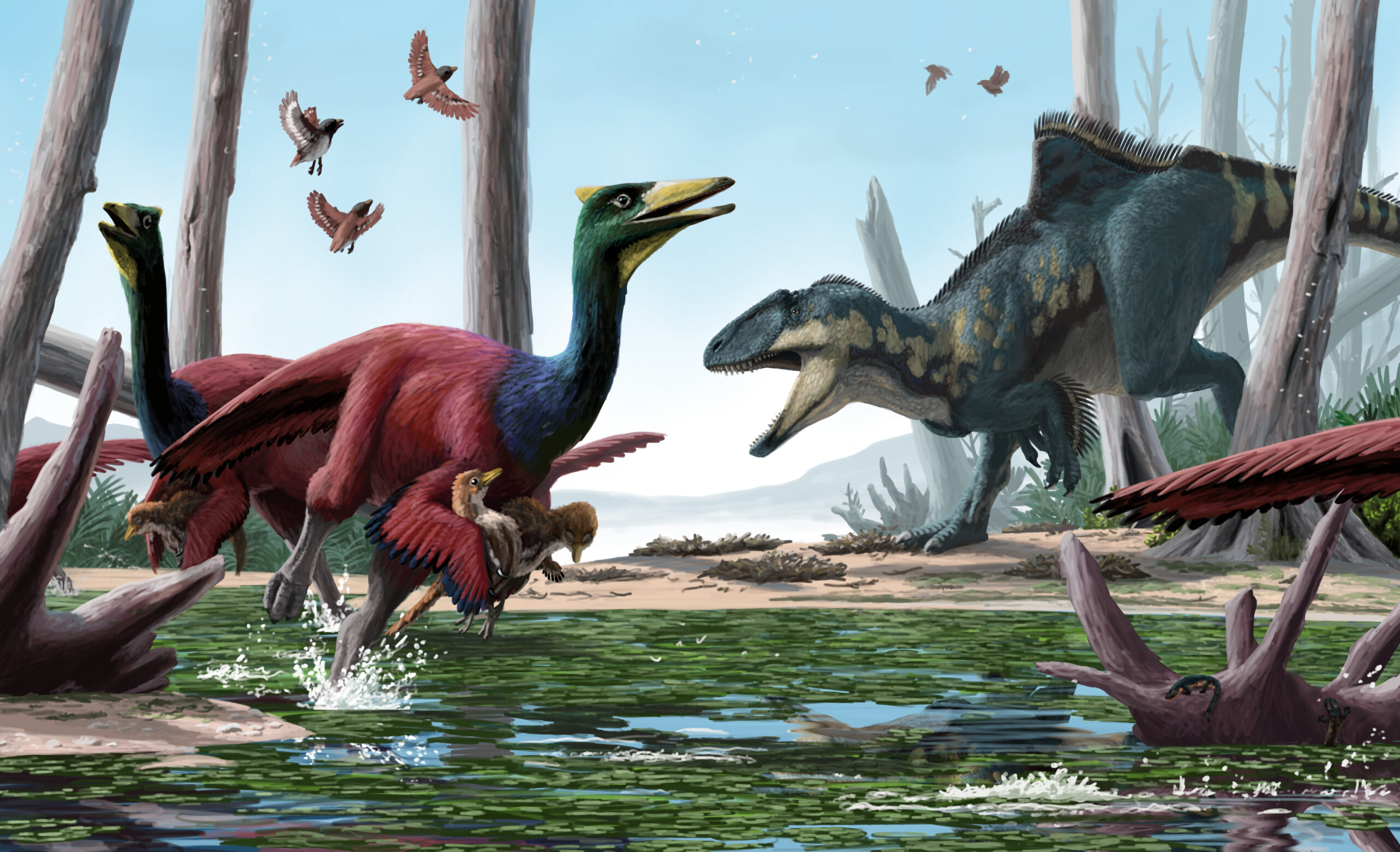 A group of Pelecanimimus grab their chicks and flee as a Concavenator attacks their nesting ground at the lake shore. Paleoart by Peter Nickolaus.