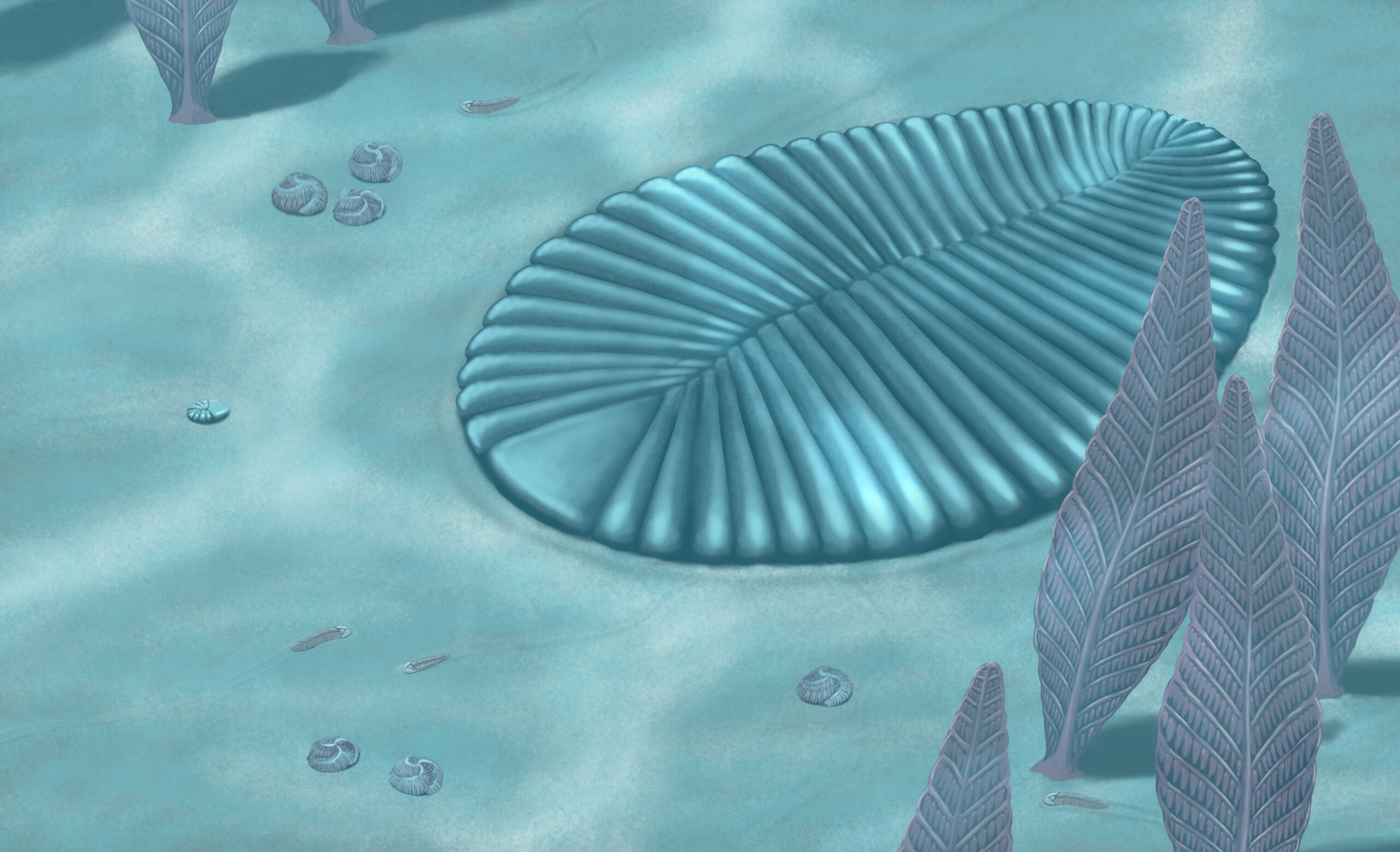The Ediacaran Fauna includes mysterious life forms like Dickinsonia, Charnia, Spriggina and Tribrachidium. Paleoart by Peter Nickolaus.