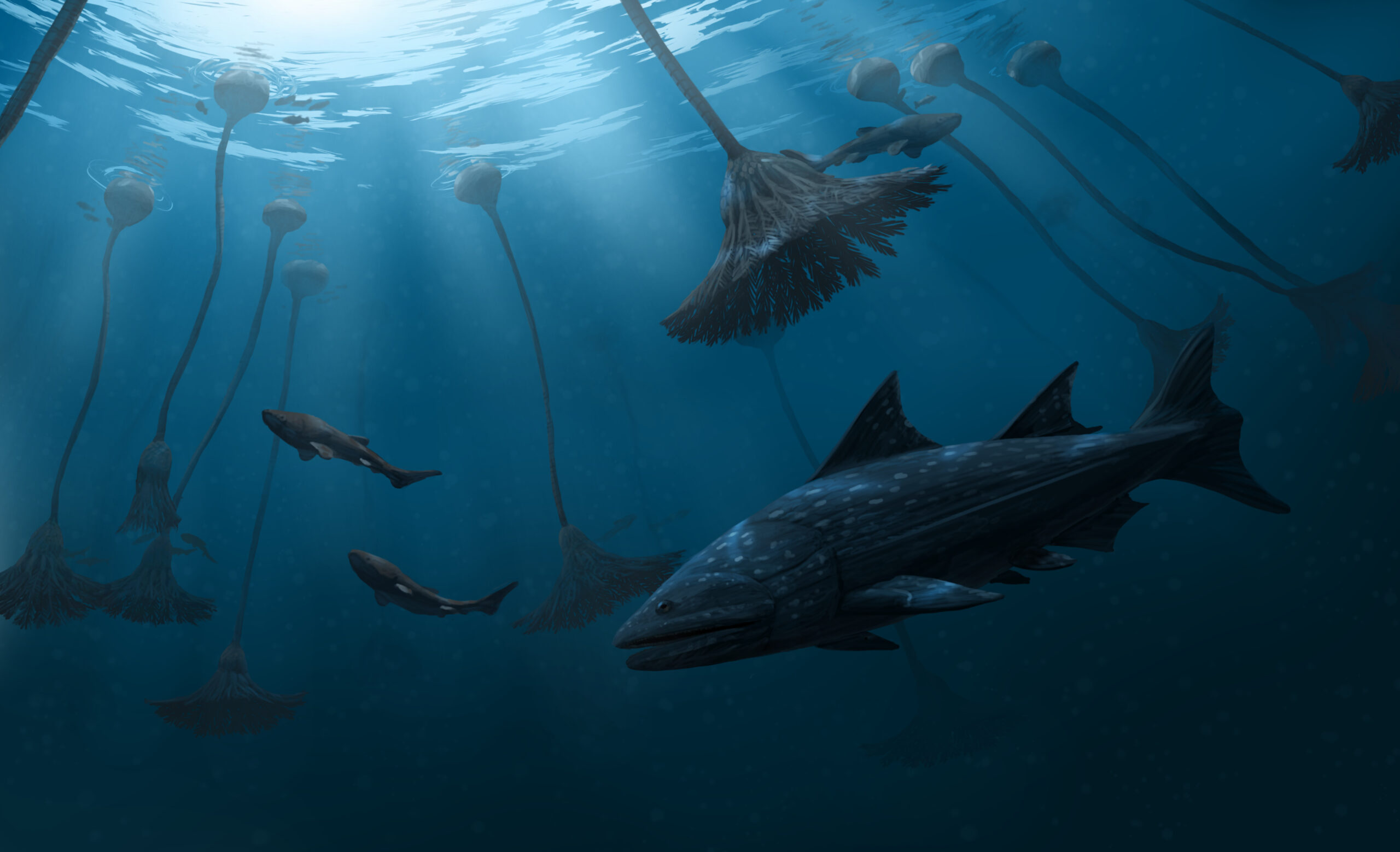 In a Silurian underwater forest of Scyphocrinites, some Entelognathus make way for an approaching Megamastax.. Paleoart by Peter Nickolaus.