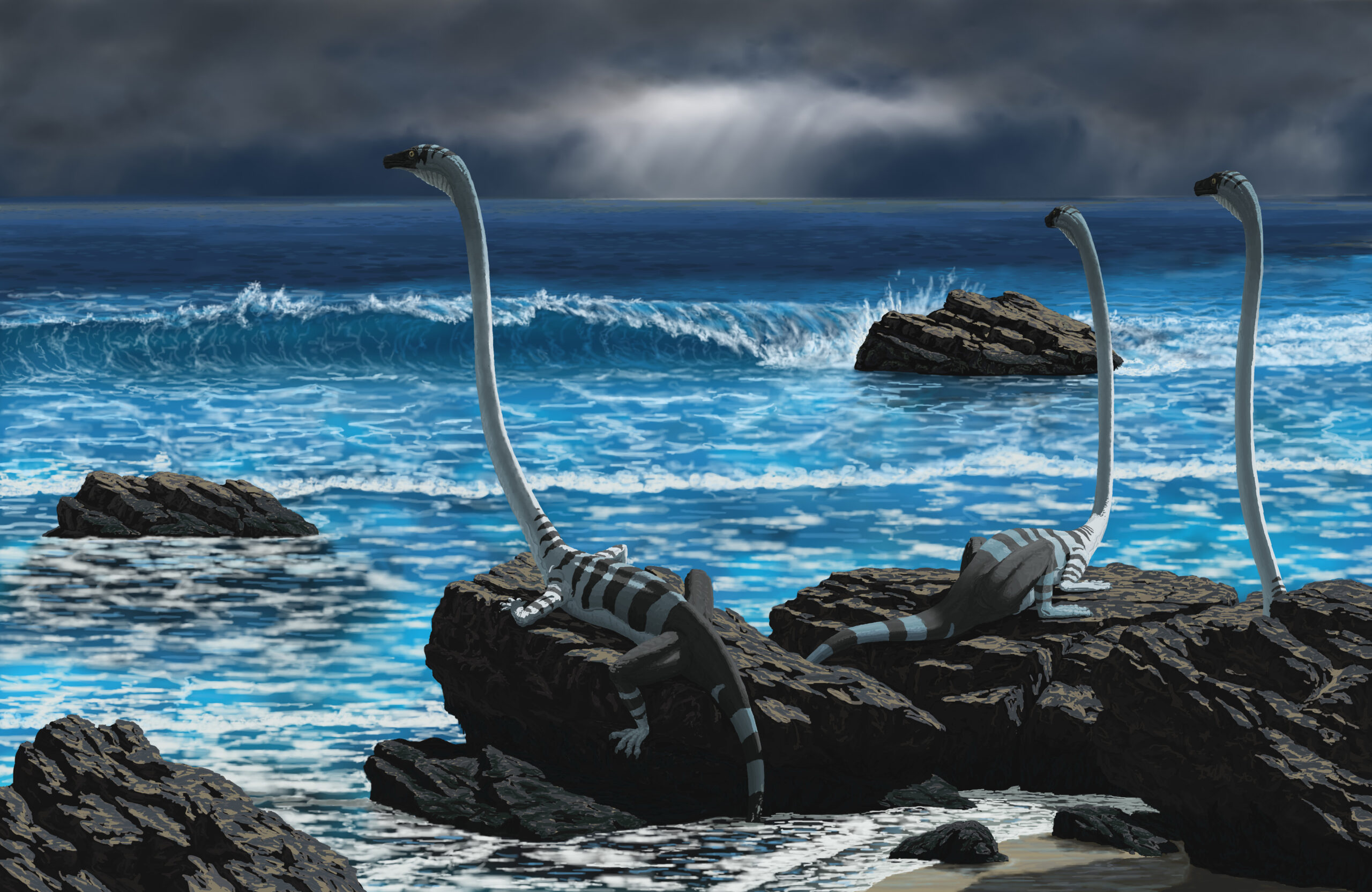 Three Tanystropheus relax on the rocky shore and watch an approaching rainstorm. Paleoart by Peter Nickolaus.