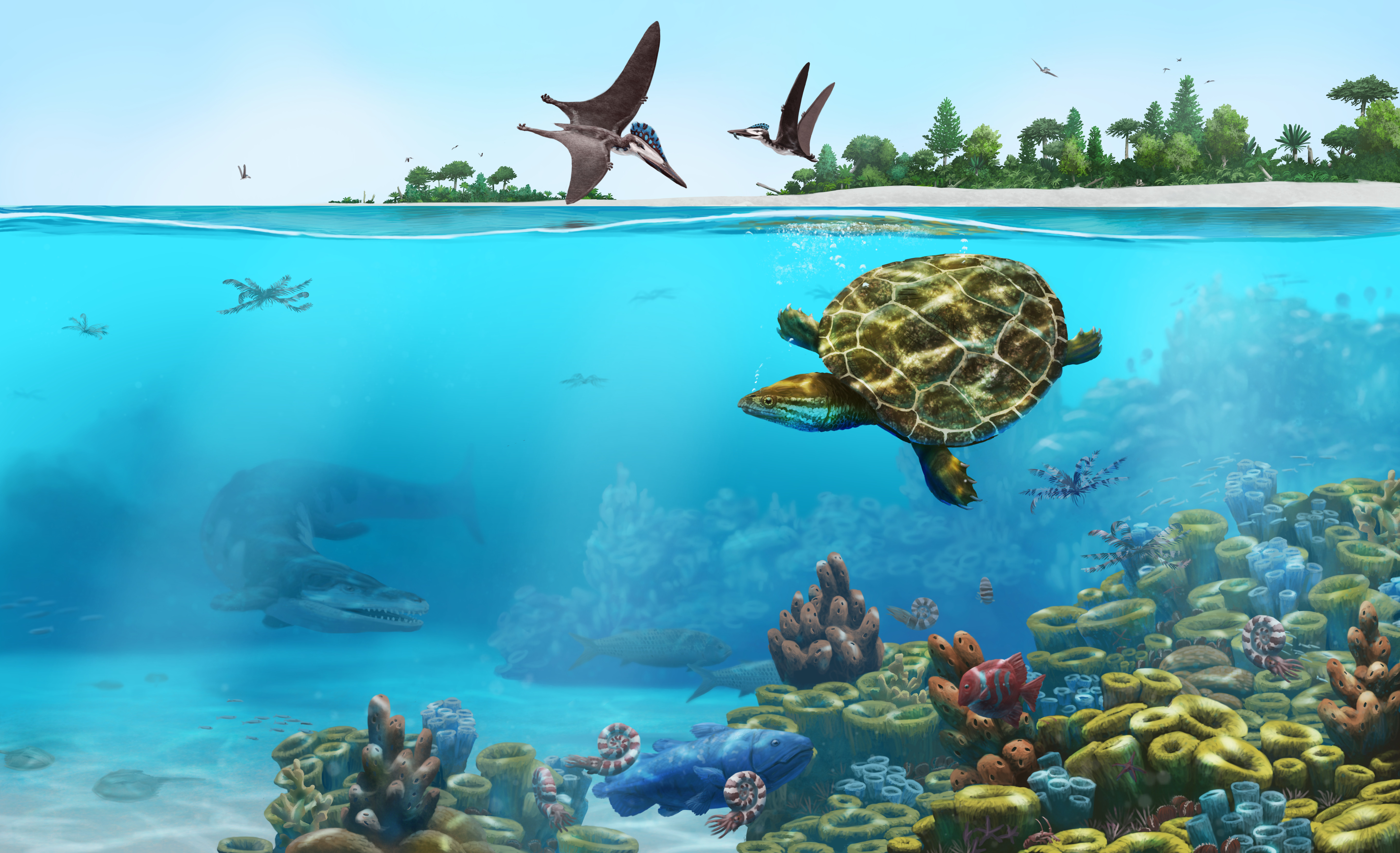 A reconstruction of the paleoenvironment of Solnhofia in Solnhofen. Paleoart by Peter Nickolaus.