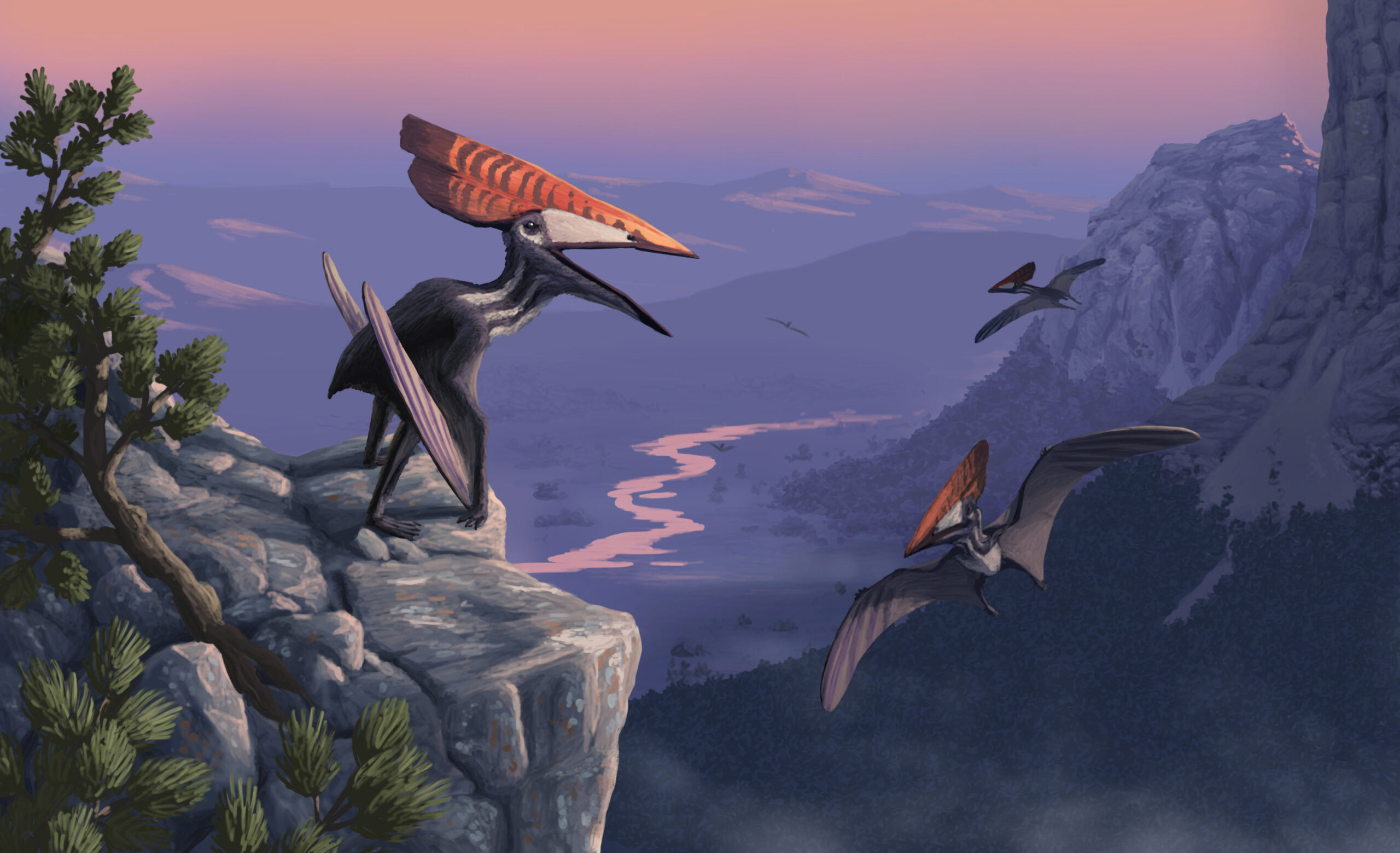A Thalassodromeus is ready to join the other pterosaurs that became active during the sunrise. Paleoart by Peter Nickolaus.