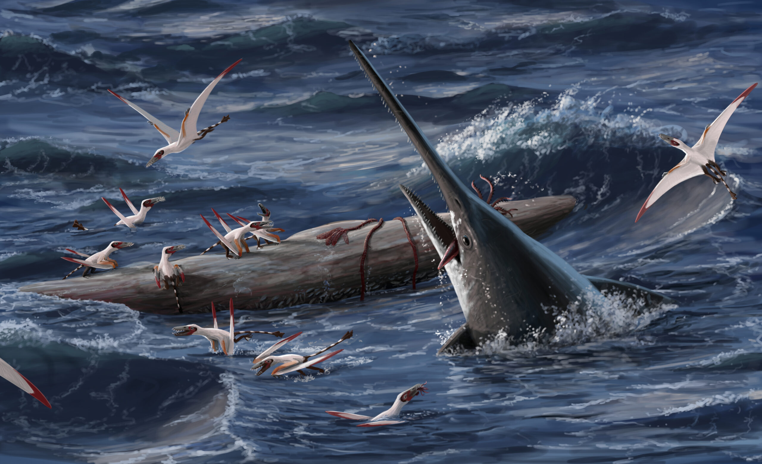 A group of Dorygnathus gets spooked by a breaching Eurhinosaurus. Paleoart by Peter Nickolaus.