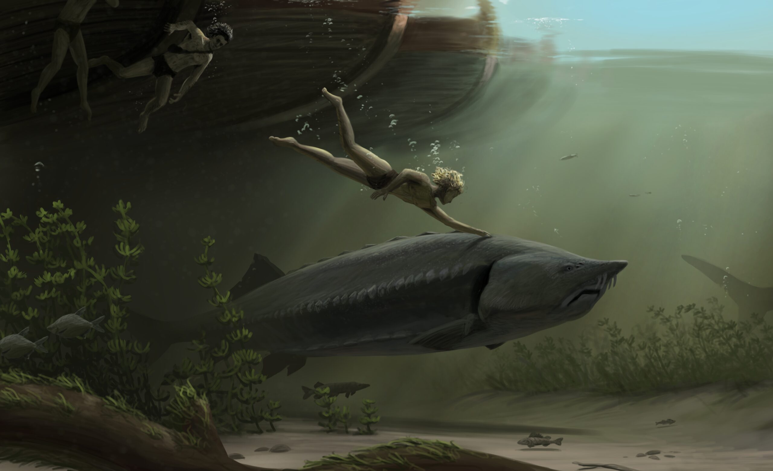 At a Roman pontoon bridge, two teenagers discover a giant migrating Beluga sturgeon. Paleoart by Peter Nickolaus