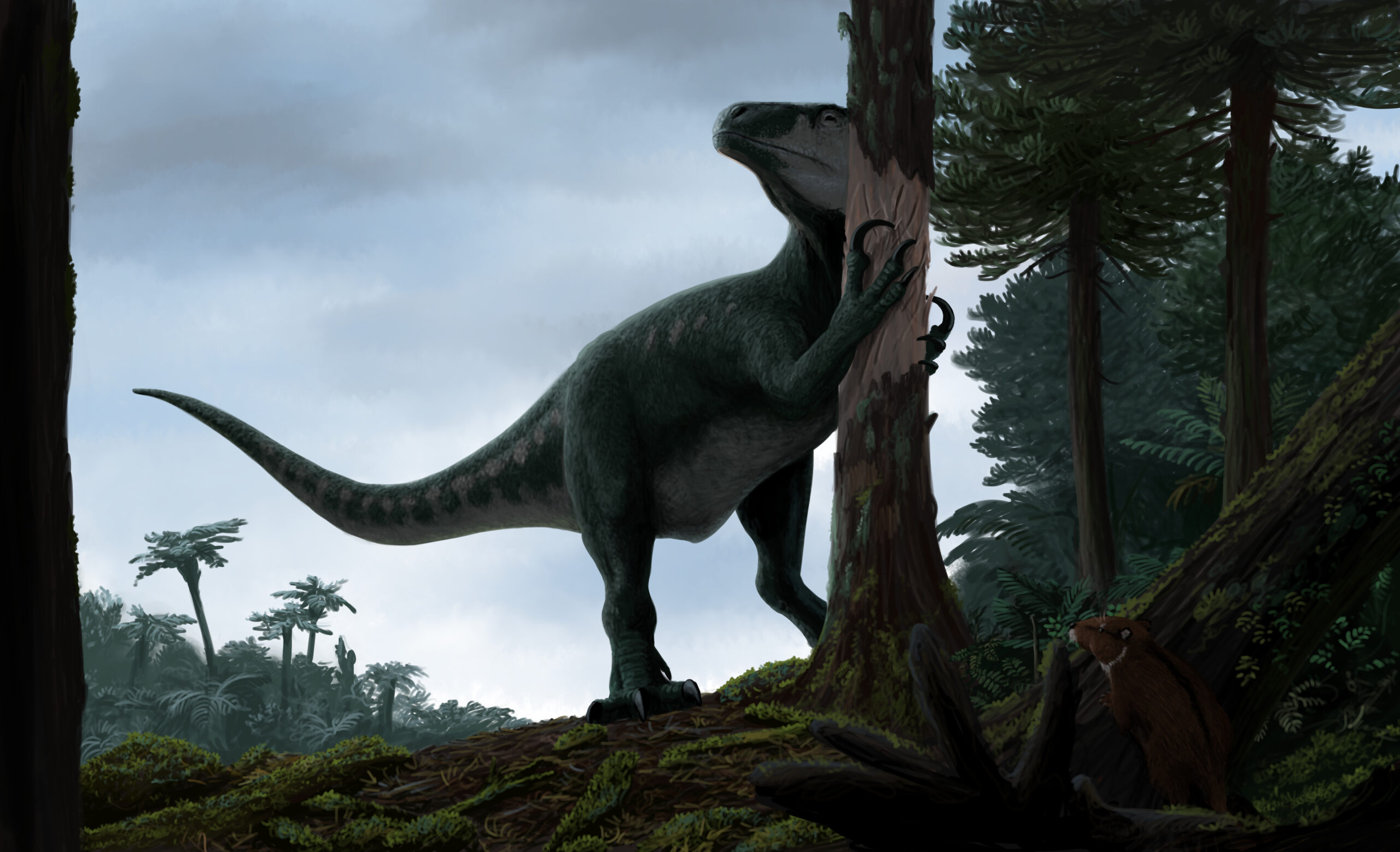 A Maip marks its territory by debarking. Paleoart by Peter Nickolaus
