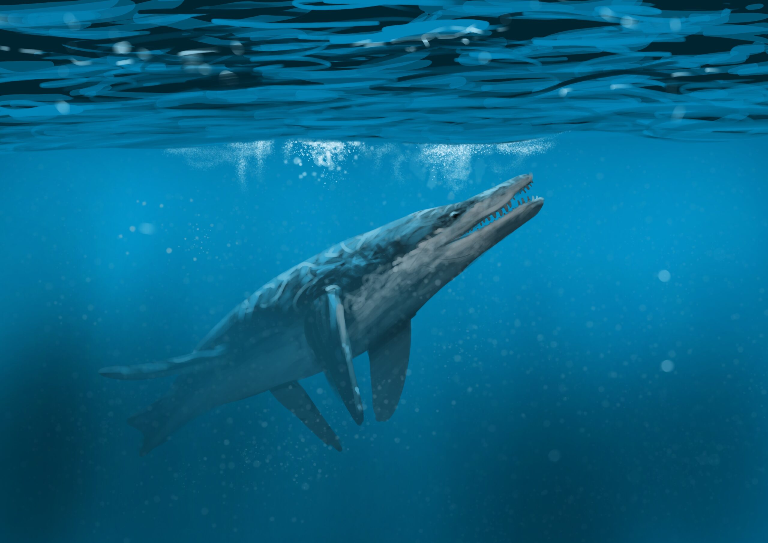 Liopleurodon Paleostream Paleoart by Peter Nickolaus