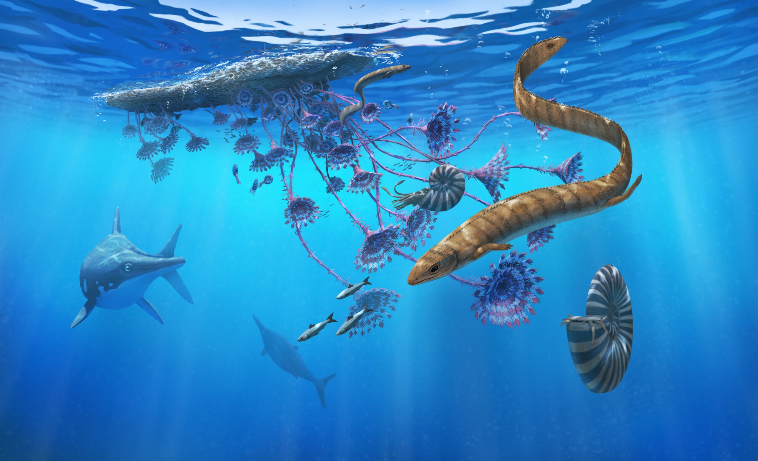 A Palaeopleurosaurus chases after some Leptolepis near a Seirocrinus raft. Paleoart by Peter Nickolaus