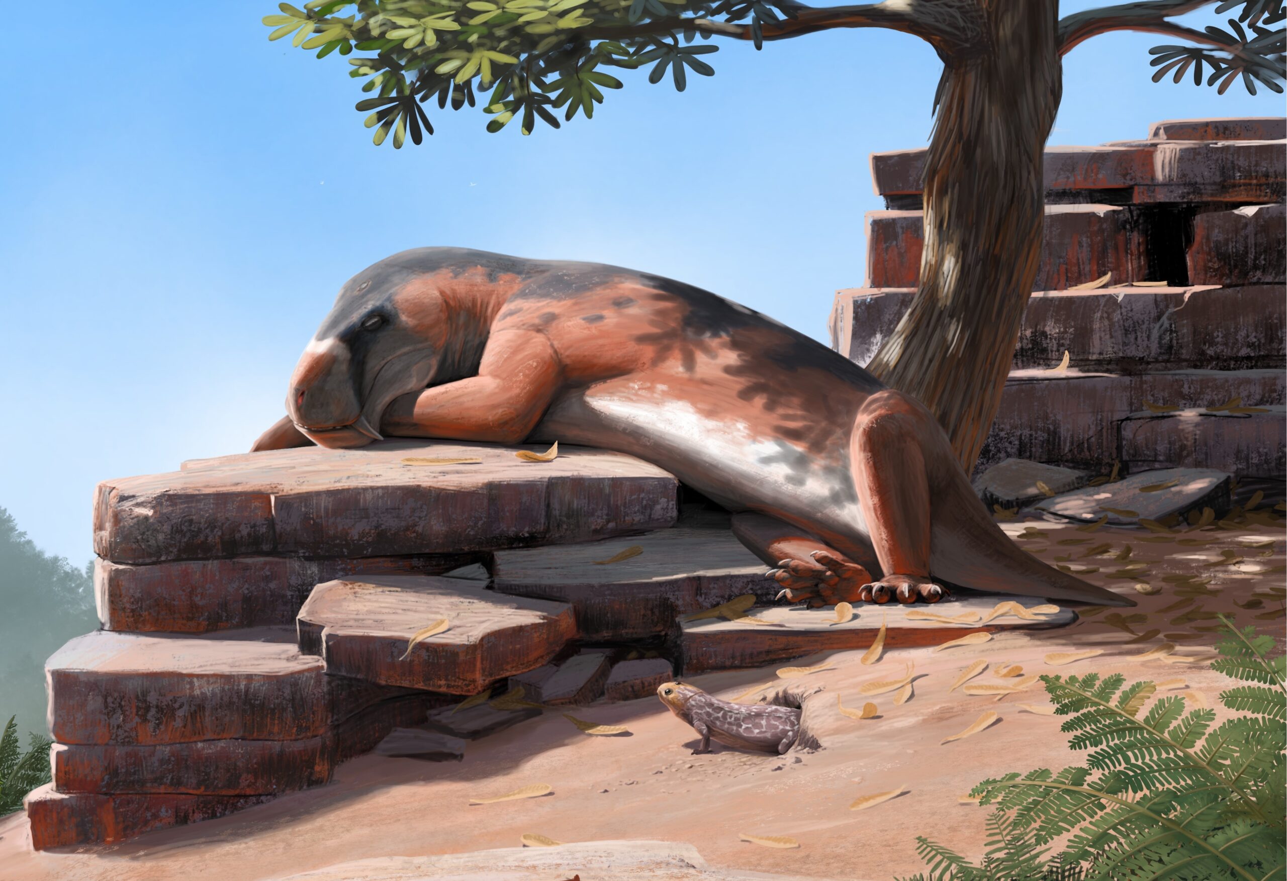 A Smilesaurus relaxes in the shade of a Glossopteris tree. Paleoart by Peter Nickolaus