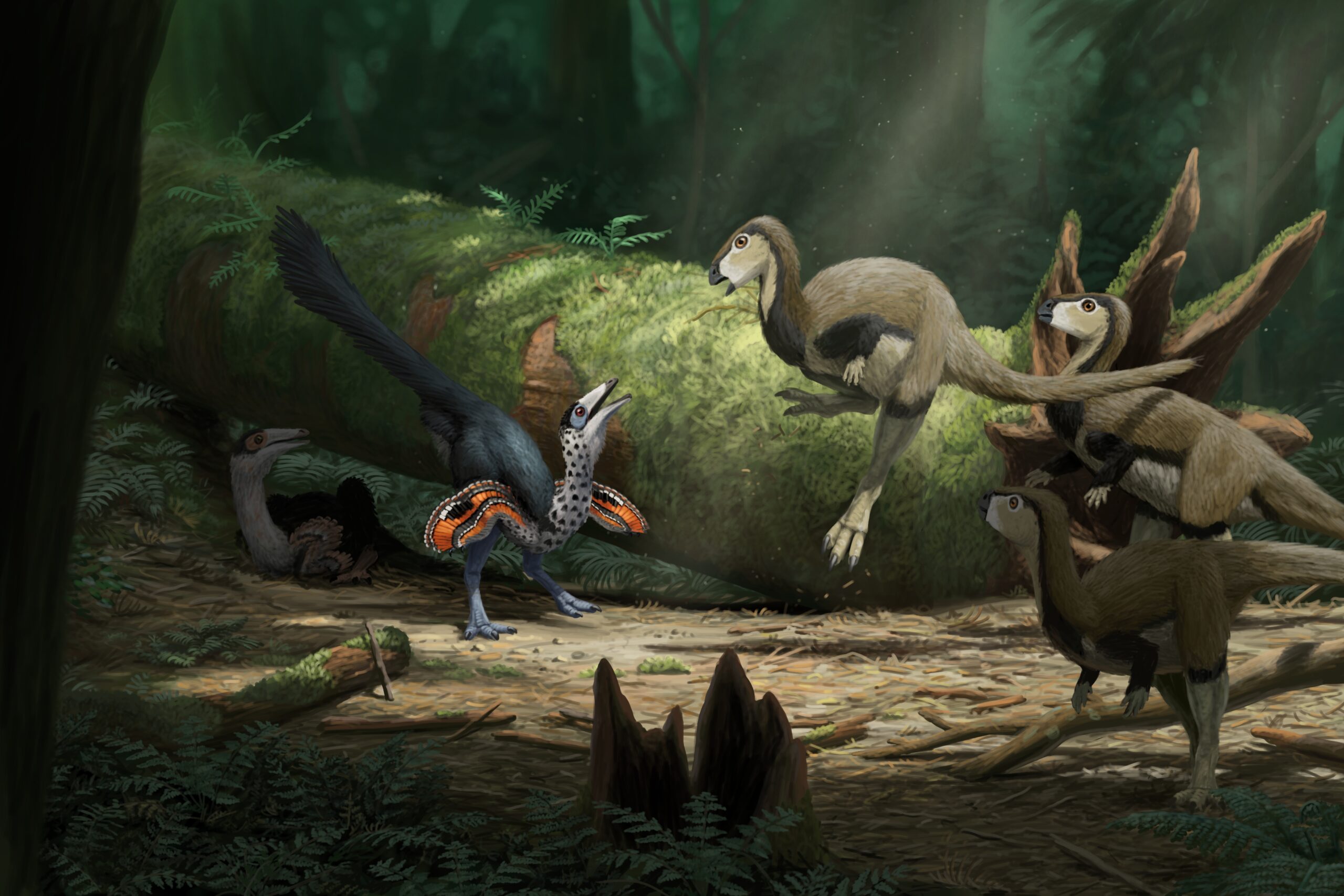 A group of Valdosaurus get spooked by a Valdoraptor. Paleoart by Peter Nickolaus